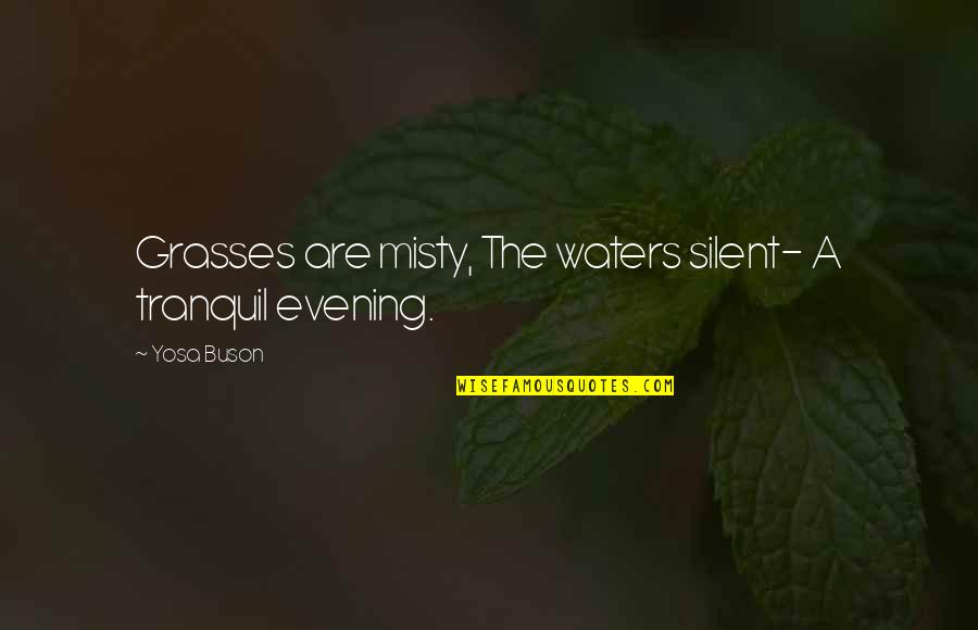 Tranquil Evening Quotes By Yosa Buson: Grasses are misty, The waters silent- A tranquil