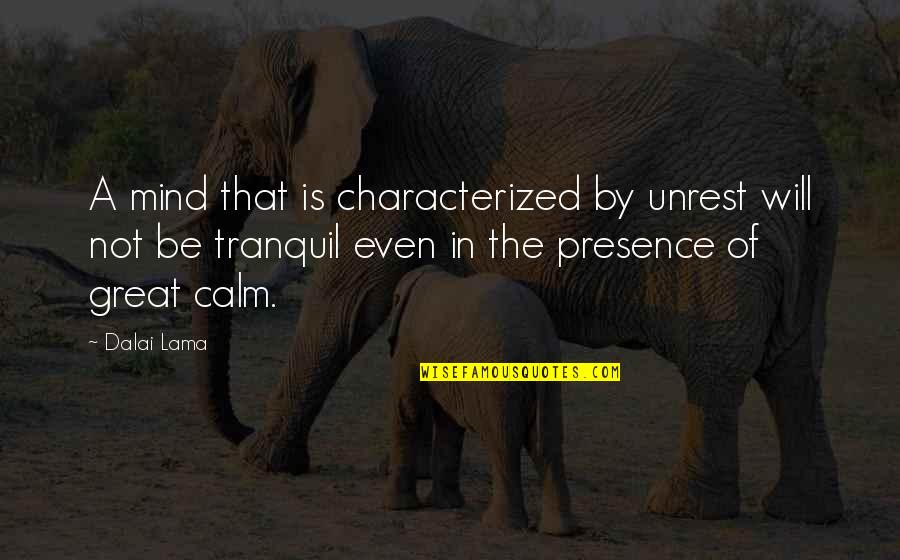 Tranquil Mind Quotes By Dalai Lama: A mind that is characterized by unrest will Tranquil Mind Quotes By Dalai Lama: A mind that is characterized by unrest will