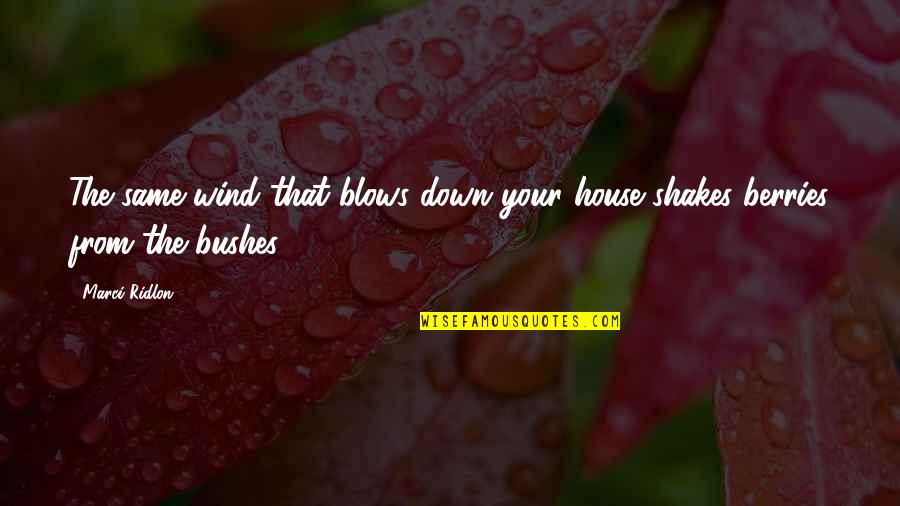 Tranquilla Jones Quotes By Marci Ridlon: The same wind that blows down your house