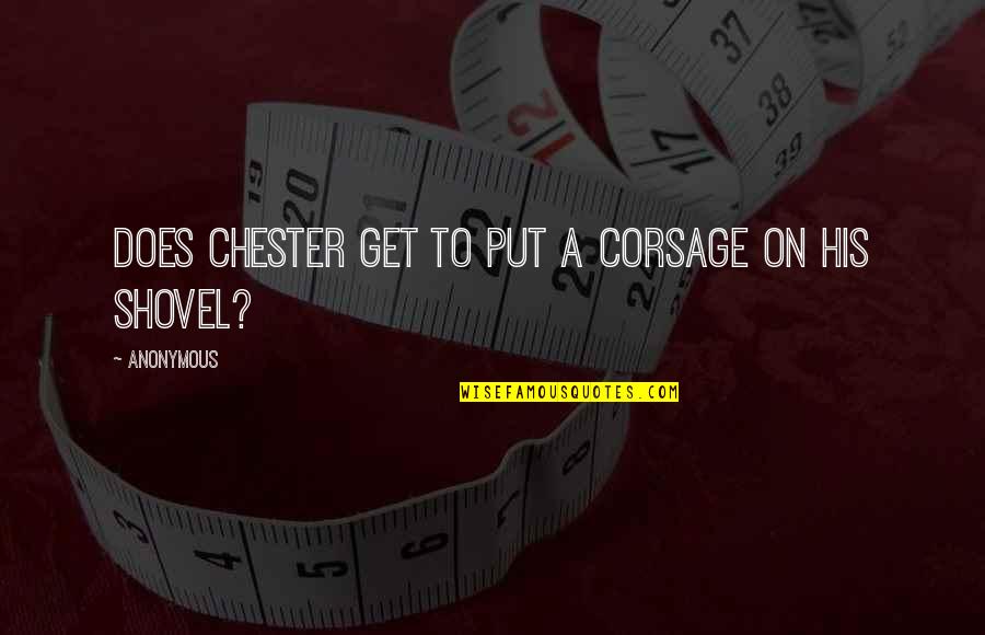 Tranquillo Translation Quotes By Anonymous: Does Chester get to put a corsage on Tranquillo Translation Quotes By Anonymous: Does Chester get to put a corsage on
