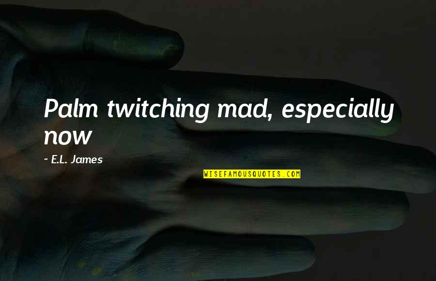 Transcriptions Kate Quotes By E.L. James: Palm twitching mad, especially now