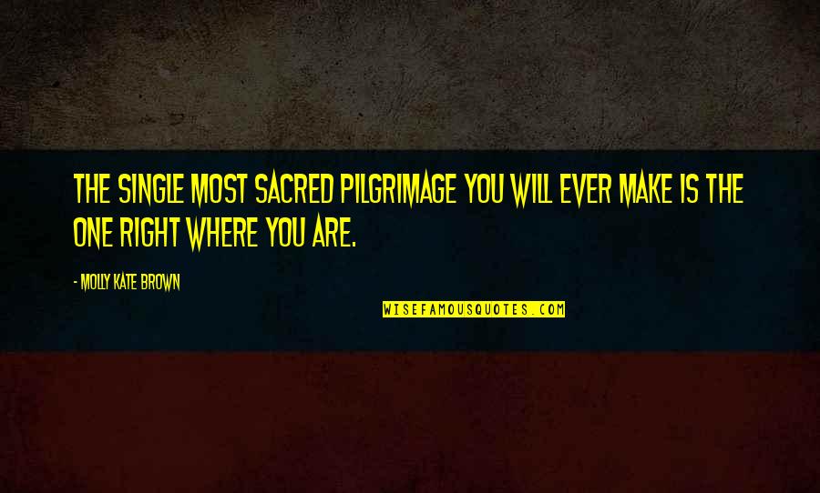 Transformational Journey Quotes By Molly Kate Brown: The single most sacred pilgrimage you will ever