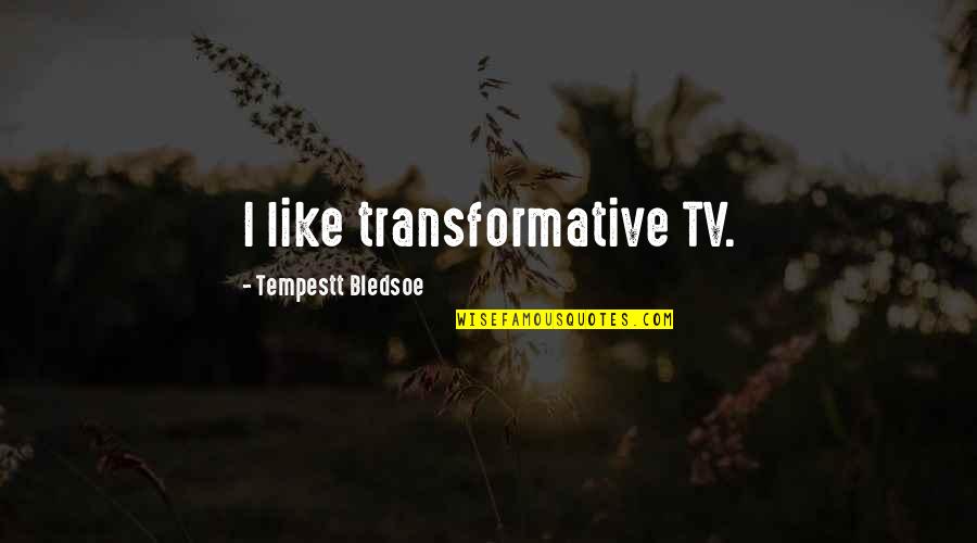 Transformative Quotes By Tempestt Bledsoe: I like transformative TV.