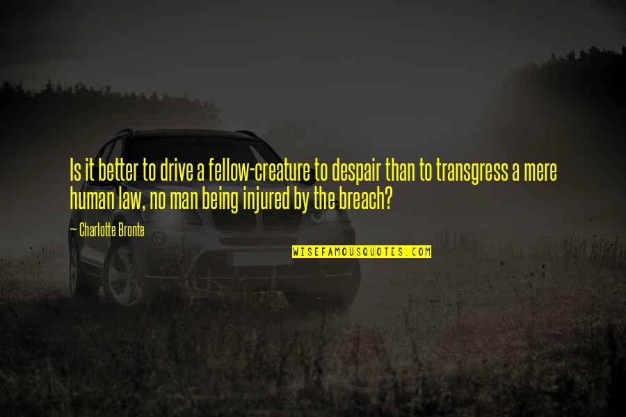 Transgress Quotes By Charlotte Bronte: Is it better to drive a fellow-creature to
