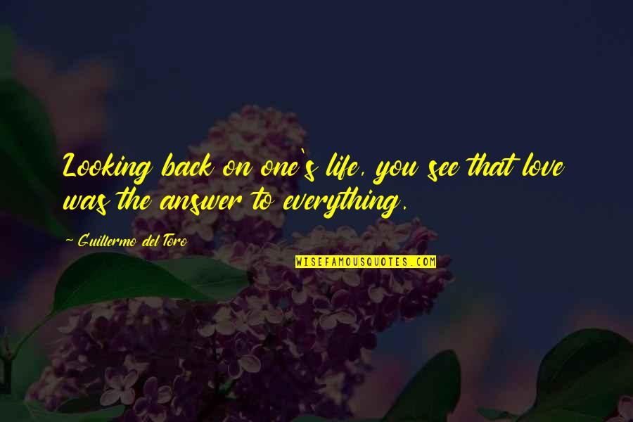 Transitarios Quotes By Guillermo Del Toro: Looking back on one's life, you see that Transitarios Quotes By Guillermo Del Toro: Looking back on one's life, you see that