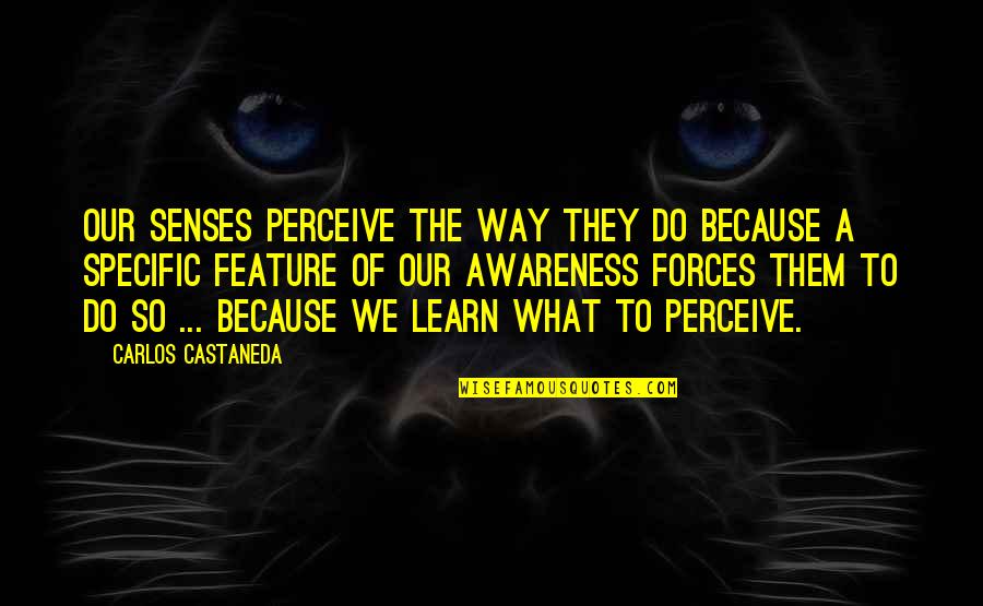 Transition At Work Quotes By Carlos Castaneda: Our senses perceive the way they do because