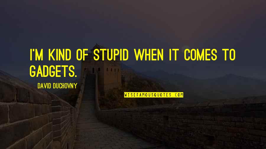 Transitorio Significato Quotes By David Duchovny: I'm kind of stupid when it comes to