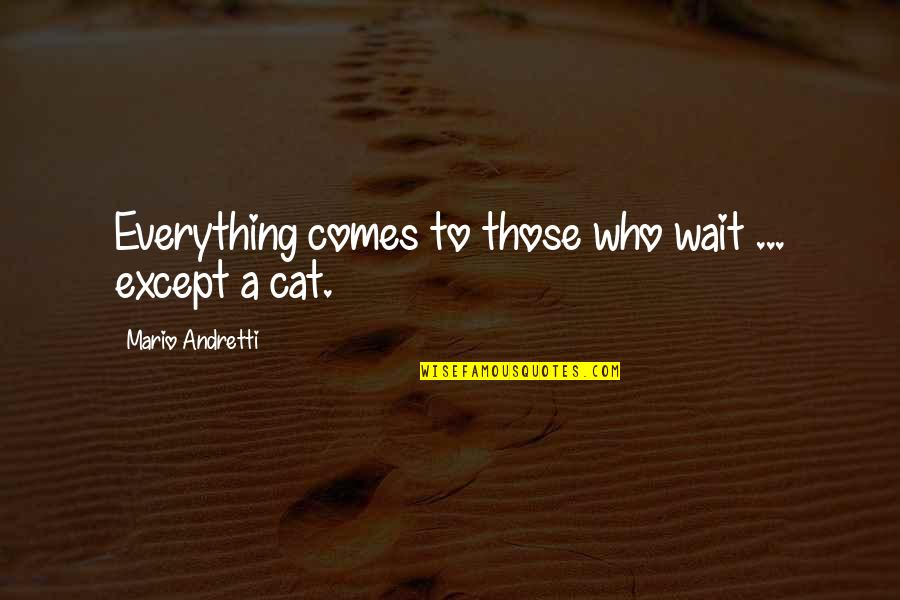 Translate Kanga Quotes By Mario Andretti: Everything comes to those who wait ... except