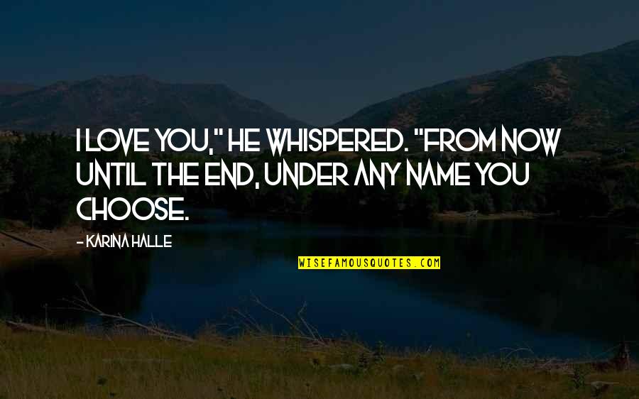 Translator Humor Quotes By Karina Halle: I love you," he whispered. "From now until