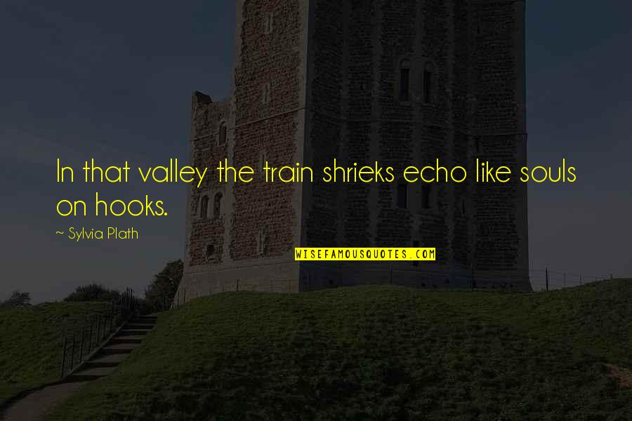 Translators Life Quotes By Sylvia Plath: In that valley the train shrieks echo like