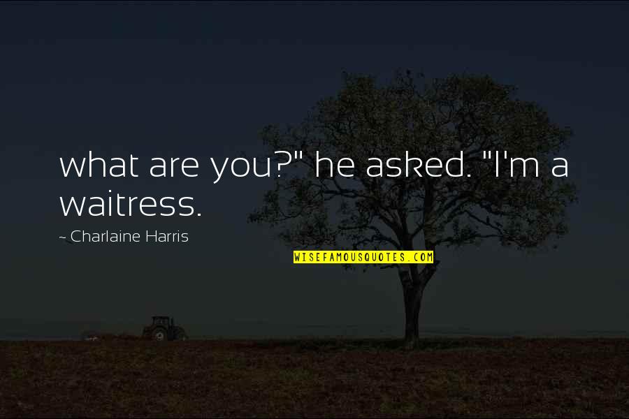 Transliteration Examples Quotes By Charlaine Harris: what are you?" he asked. "I'm a waitress.