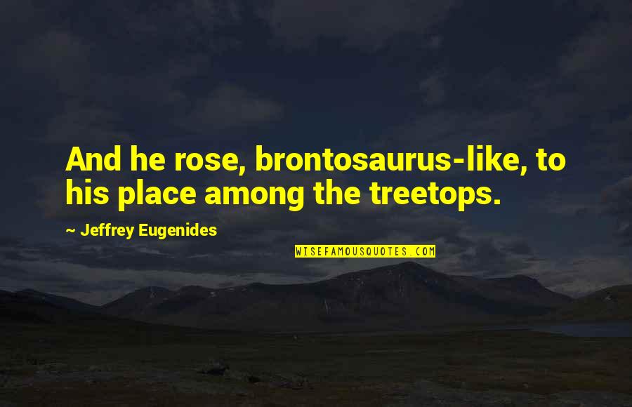 Translocacion Bacteriana Quotes By Jeffrey Eugenides: And he rose, brontosaurus-like, to his place among Translocacion Bacteriana Quotes By Jeffrey Eugenides: And he rose, brontosaurus-like, to his place among
