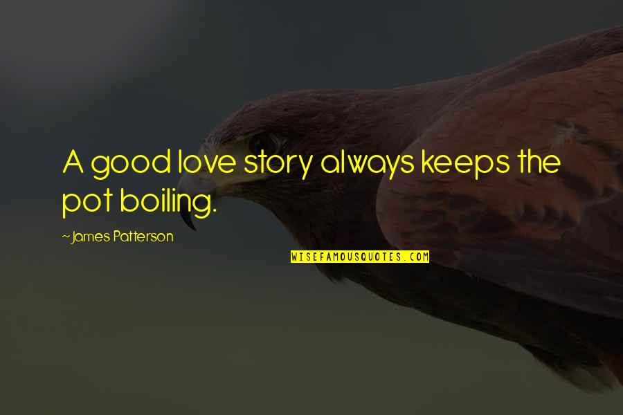 Translucid Comic Quotes By James Patterson: A good love story always keeps the pot