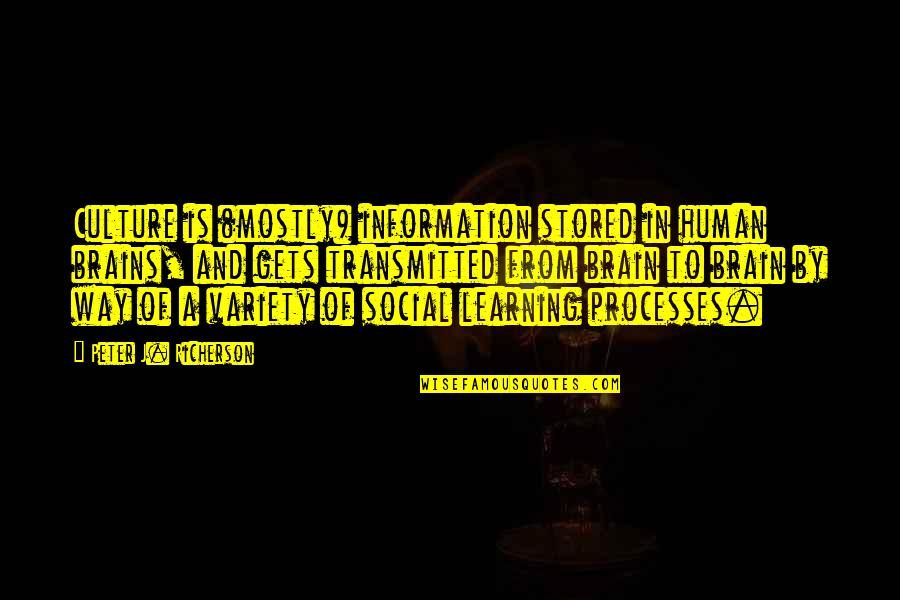 Transmitted Quotes By Peter J. Richerson: Culture is (mostly) information stored in human brains,