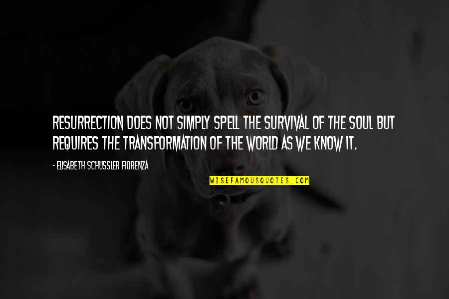 Transporters Choice Quotes By Elisabeth Schussler Fiorenza: Resurrection does not simply spell the survival of
