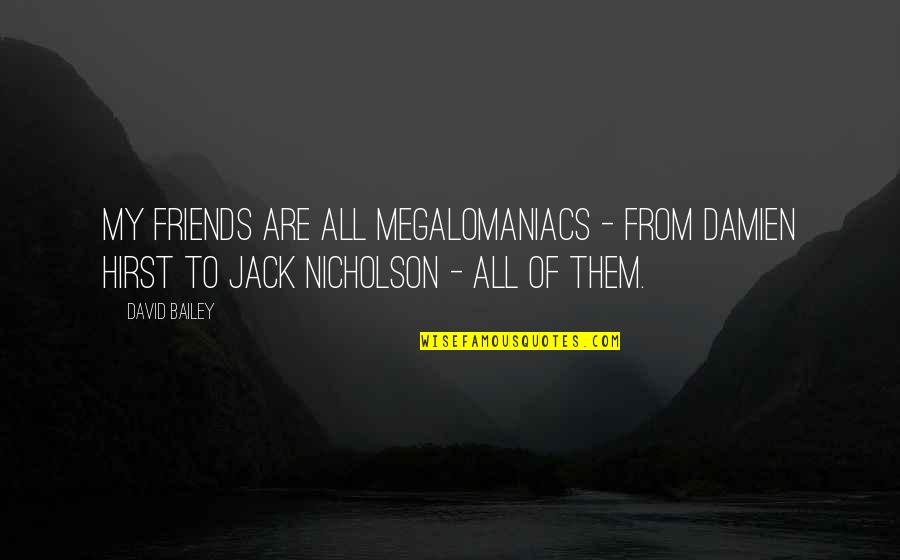 Tranzit Tv Quotes By David Bailey: My friends are all megalomaniacs - from Damien