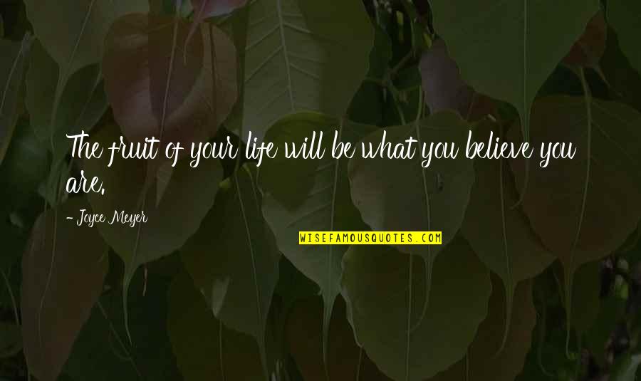 Trapeze Dresses Quotes By Joyce Meyer: The fruit of your life will be what