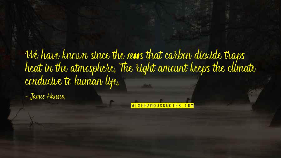 Traps Of Life Quotes By James Hansen: We have known since the 1800s that carbon Traps Of Life Quotes By James Hansen: We have known since the 1800s that carbon