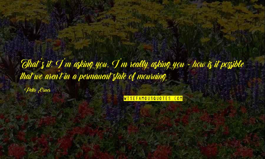 Trascendencia De Dios Quotes By Peter Orner: That's it. I'm asking you, I'm really asking