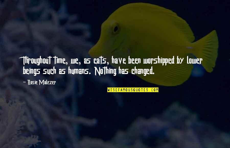 Trasciende Sinonimo Quotes By Rosie Malezer: Throughout time, we, as cats, have been worshipped Trasciende Sinonimo Quotes By Rosie Malezer: Throughout time, we, as cats, have been worshipped