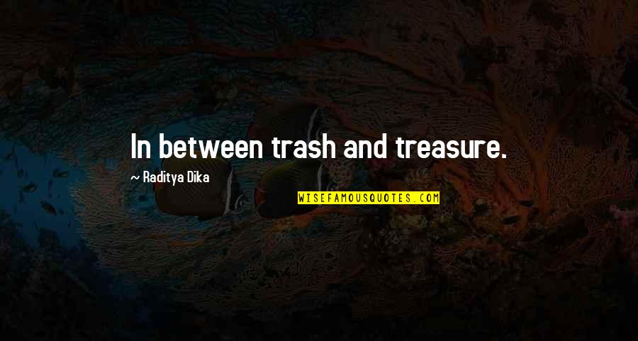 Trash Treasure Quotes By Raditya Dika: In between trash and treasure.