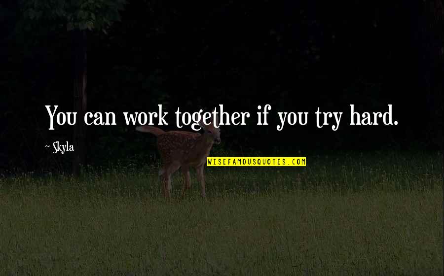 Trashology Quotes By Skyla: You can work together if you try hard.