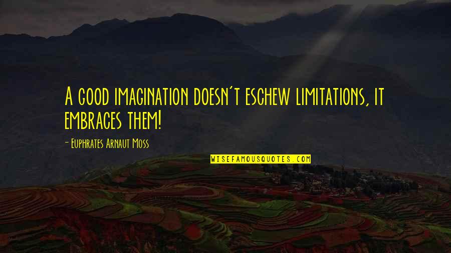 Traspie In English Quotes By Euphrates Arnaut Moss: A good imagination doesn't eschew limitations, it embraces