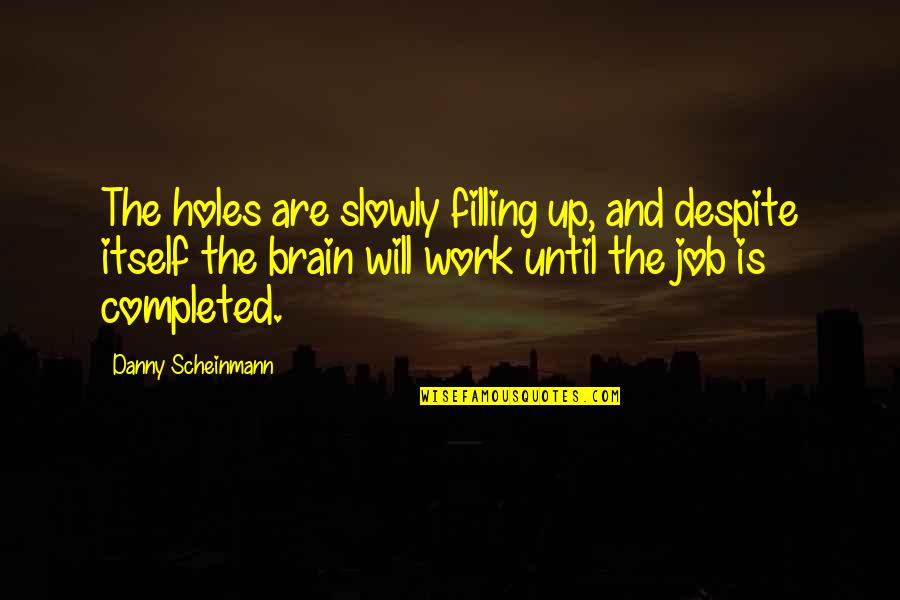 Traumatic Experiences Quotes By Danny Scheinmann: The holes are slowly filling up, and despite