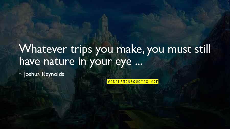 Travel And Nature Quotes By Joshua Reynolds: Whatever trips you make, you must still have