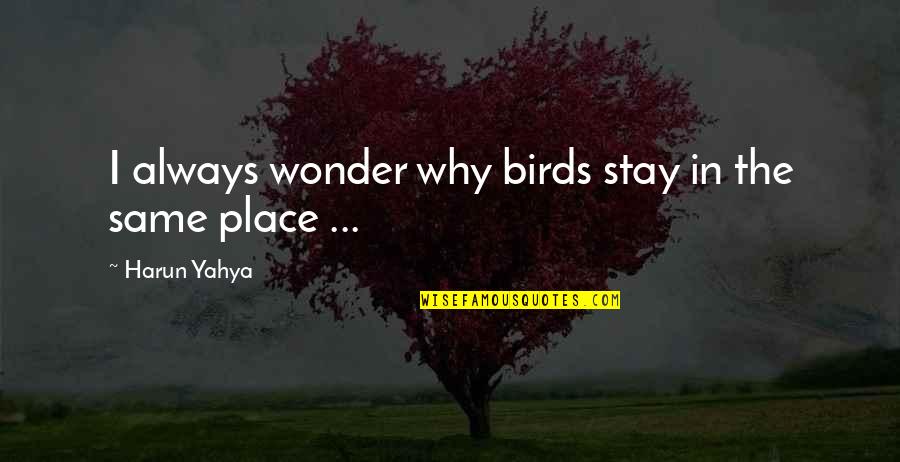 Travel Bird Quotes By Harun Yahya: I always wonder why birds stay in the