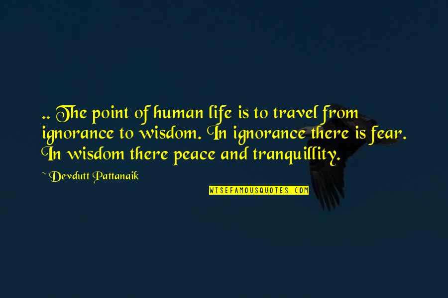 Travel Of Life Quotes By Devdutt Pattanaik: .. The point of human life is to