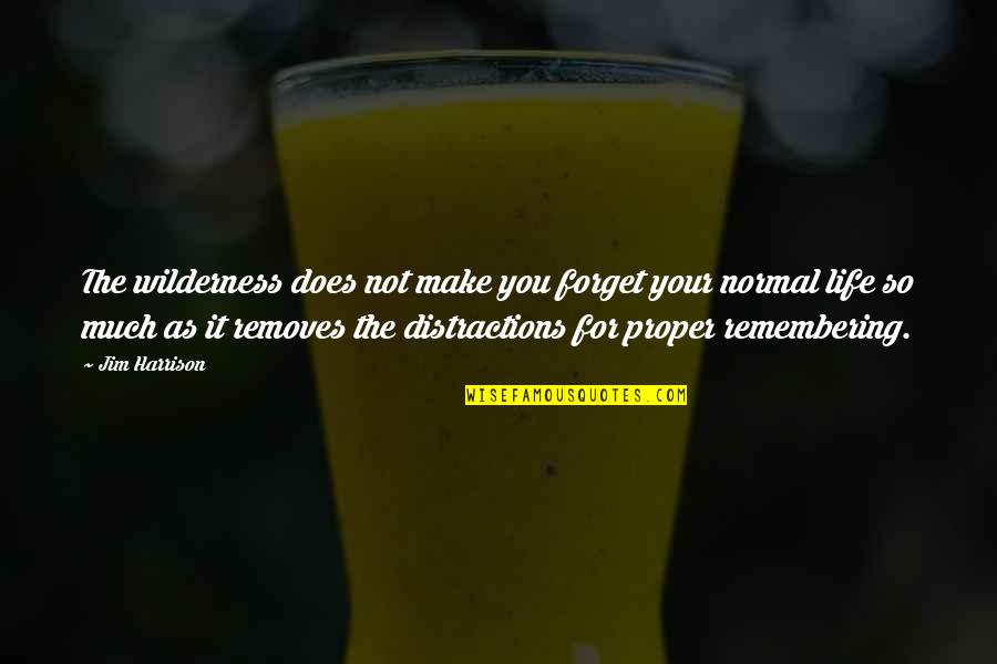 Travel To Forget Quotes By Jim Harrison: The wilderness does not make you forget your