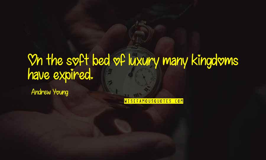 Travel Together With Boyfriend Quotes By Andrew Young: On the soft bed of luxury many kingdoms