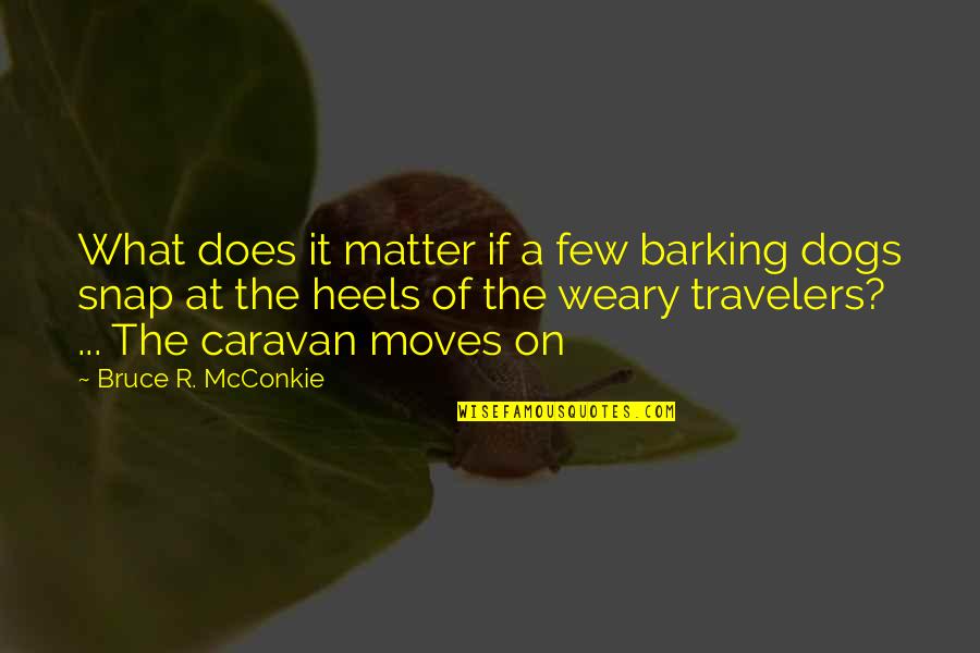 Travelers Quotes By Bruce R. McConkie: What does it matter if a few barking