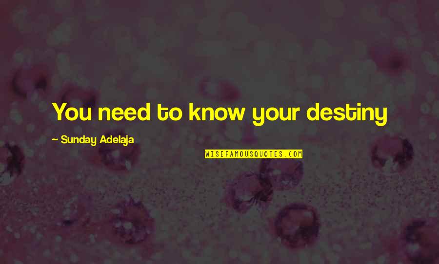 Travelers Rest Quotes By Sunday Adelaja: You need to know your destiny Travelers Rest Quotes By Sunday Adelaja: You need to know your destiny