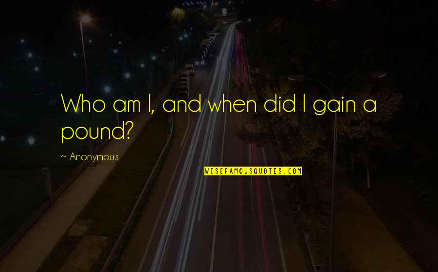 Traveling Back Home Quotes By Anonymous: Who am I, and when did I gain