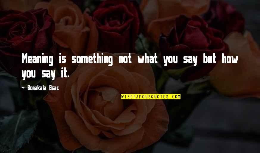 Travelling And Nature Quotes By Bonakala Bsac: Meaning is something not what you say but