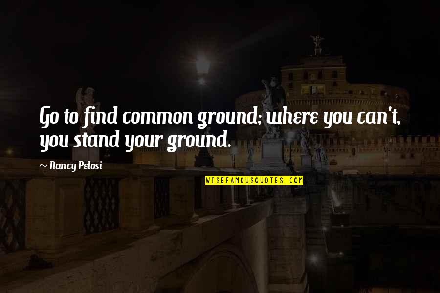 Travelling And Returning Home Quotes By Nancy Pelosi: Go to find common ground; where you can't,