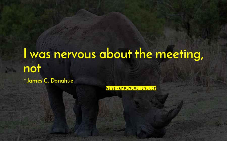 Travelling And Seeing The World Quotes By James C. Donahue: I was nervous about the meeting, not Travelling And Seeing The World Quotes By James C. Donahue: I was nervous about the meeting, not
