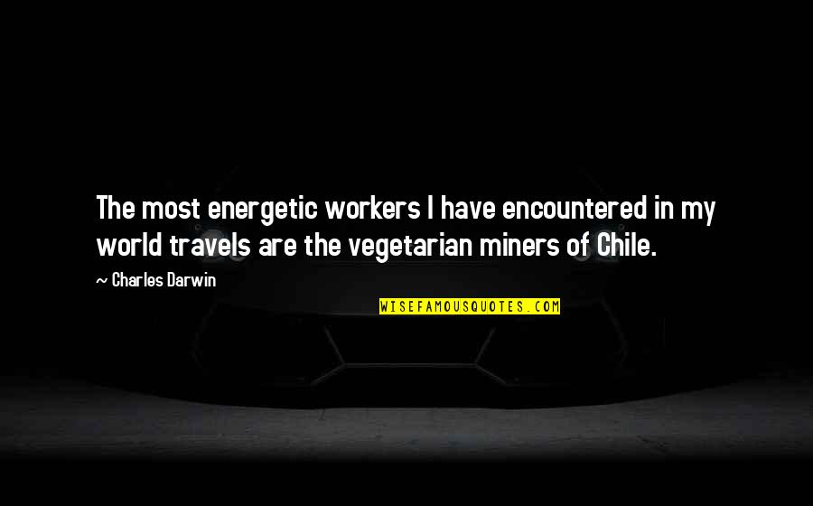 Travels Quotes By Charles Darwin: The most energetic workers I have encountered in