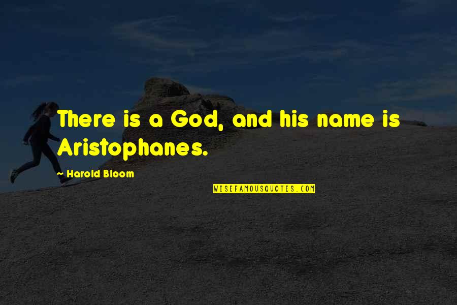 Traversed By Bridge Quotes By Harold Bloom: There is a God, and his name is