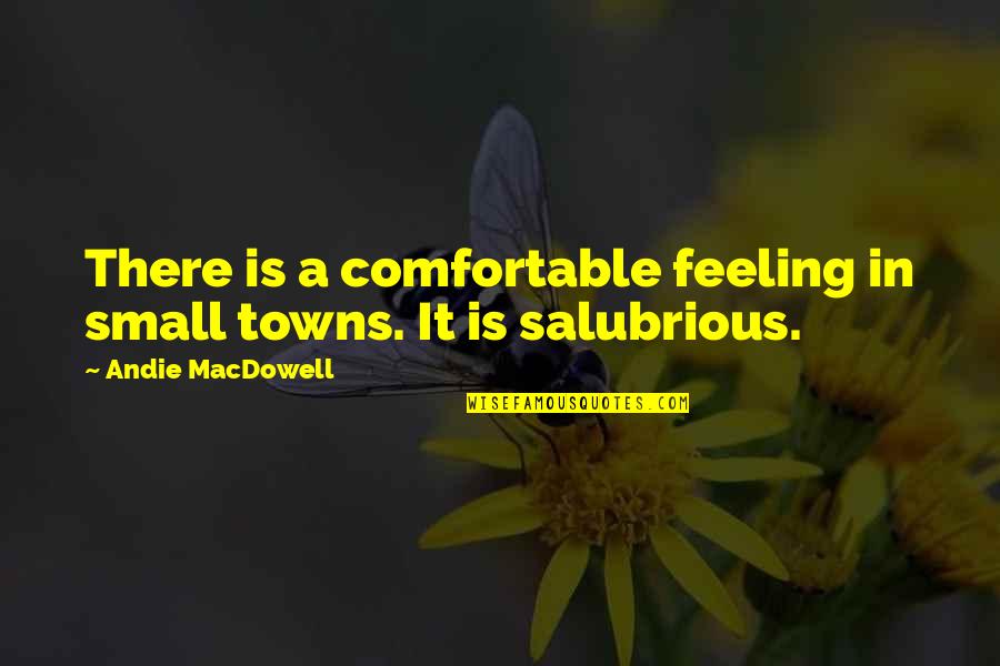 Travica Mills Quotes By Andie MacDowell: There is a comfortable feeling in small towns.