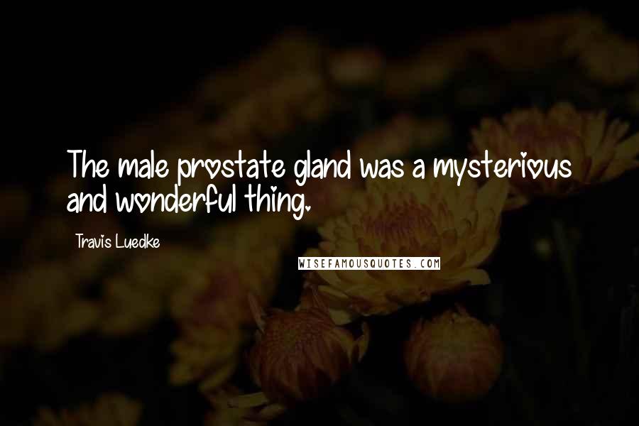 Travis Luedke quotes: The male prostate gland was a mysterious and wonderful thing.