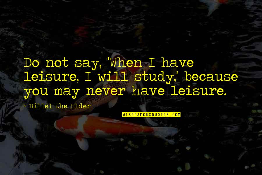 Trawler Net Quotes By Hillel The Elder: Do not say, 'When I have leisure, I