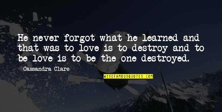 Traydor Na Kaibigan Quotes By Cassandra Clare: He never forgot what he learned and that Traydor Na Kaibigan Quotes By Cassandra Clare: He never forgot what he learned and that