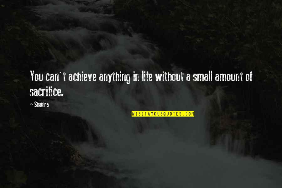 Trays Quotes By Shakira: You can't achieve anything in life without a