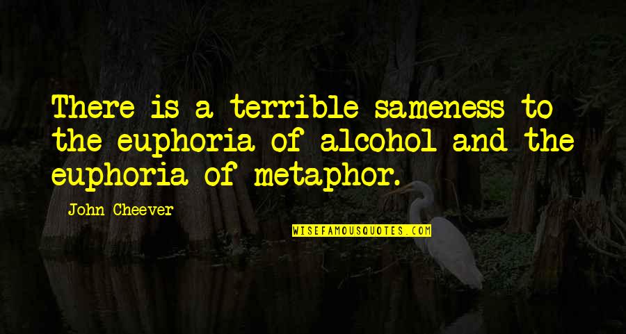 Trayton Shelton Quotes By John Cheever: There is a terrible sameness to the euphoria