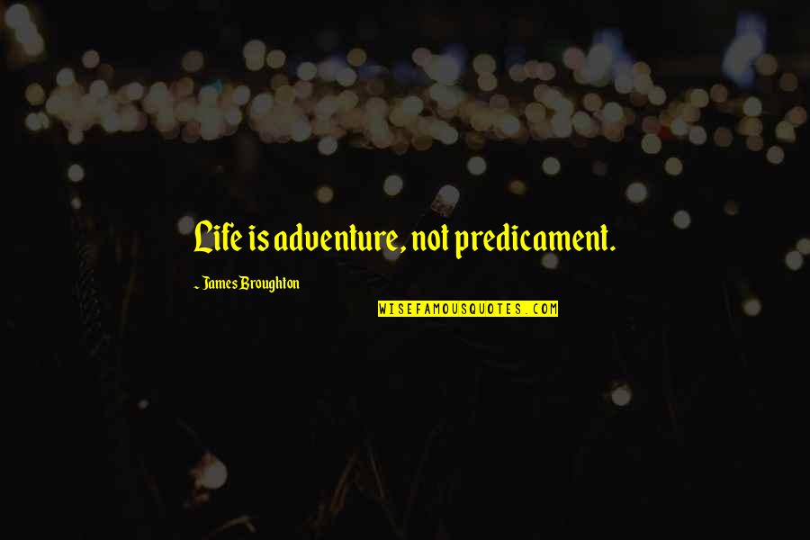 Trazegnies Quotes By James Broughton: Life is adventure, not predicament.