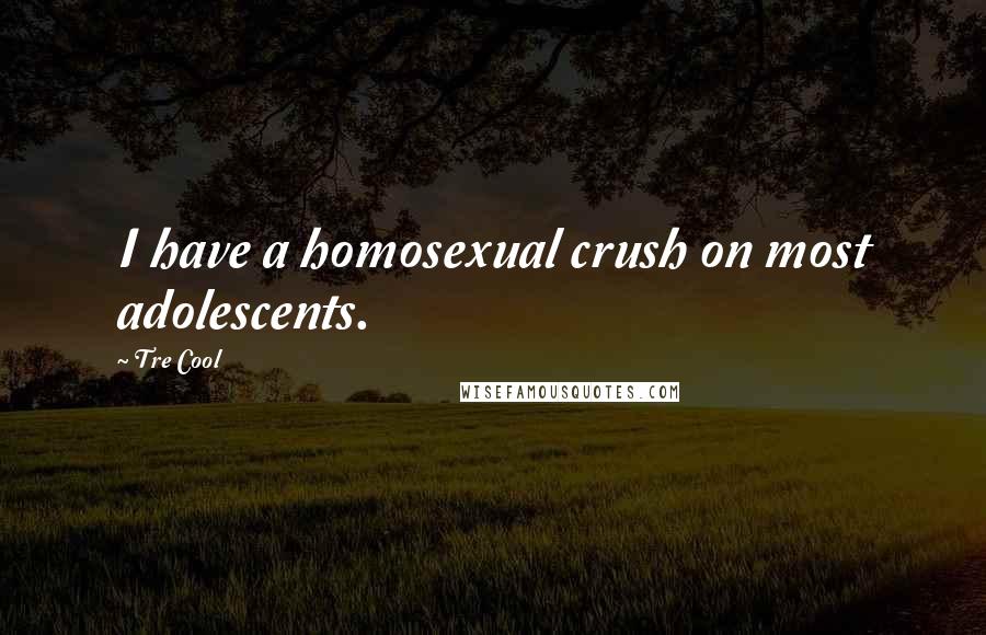 Tre Cool quotes: I have a homosexual crush on most adolescents.