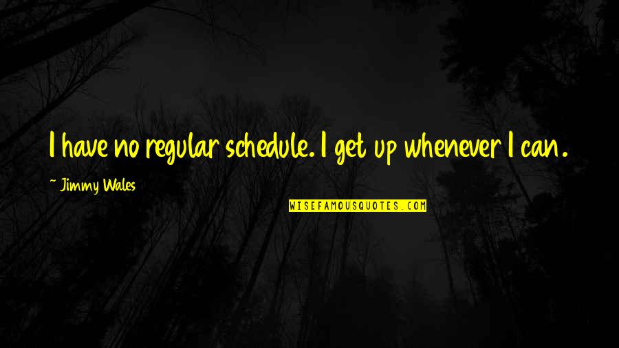 Treaded Quotes By Jimmy Wales: I have no regular schedule. I get up